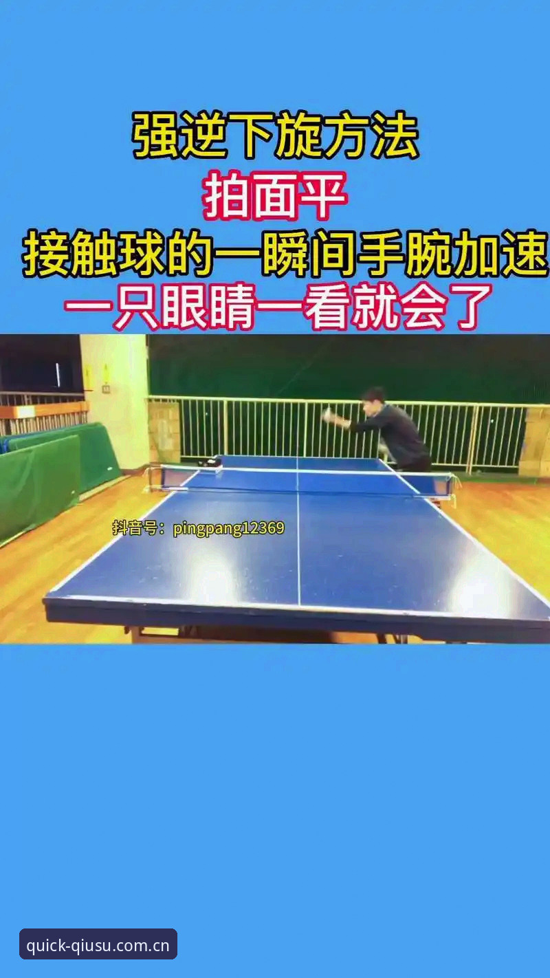 球速体育最新版本教程发布：A7Z2版本更新带来全新体验，快速登录入口详解